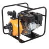 Loncin 2" High Lift Water Pump In Carry Frame -Comet || Shurflo || Mesto Shop E600 1003 380